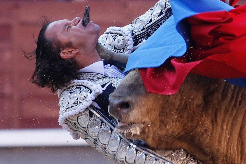 spain-bullfighting-matador-julio-aparicio-goring-through-jaw-01.jpg