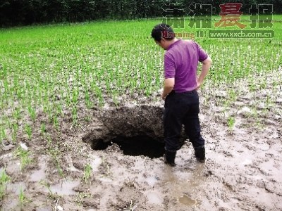 A Chinese villager looks into a sinkhole found in his rice paddy.