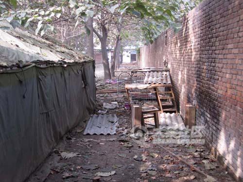 A "concentration camp" for dogs in Xi'an, China.