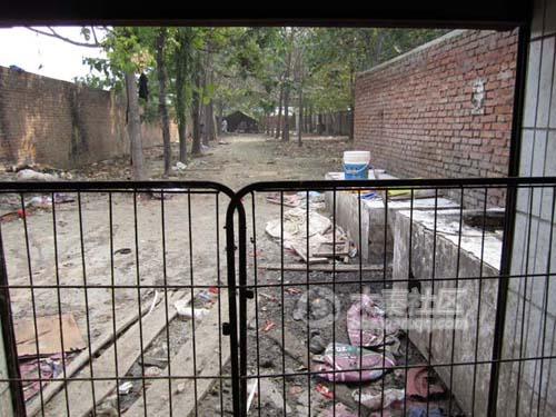 A "concentration camp" for dogs in Xi'an, China.