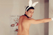 Chinese netizen reactions to animated gifs of a homosexual man performing sexy dances with bunny ears and rabbit tail.
