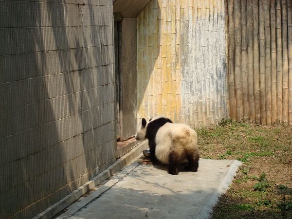 My zoo porn in Fuzhou